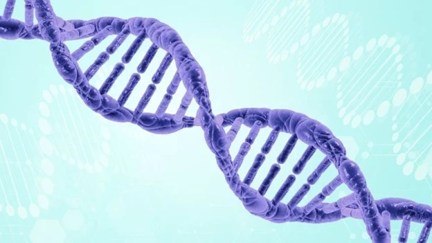 Донорство костного мозга